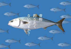 青物の仕掛けとは?堤防から船、釣堀までフィールド別に徹底解説!