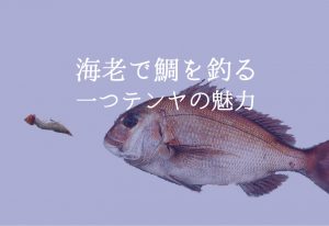 一つテンヤとエビでマダイを釣る!餌の付け方から誘い方まで徹底解説