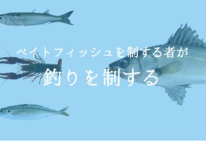 ベイトフィッシュの種類と生態を知って釣果につなげよう