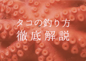 ã¿ã³é£ãã®ææãæé垯ãé£ãæ¹ã培åºè§£èª¬