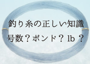 釣り糸の号数・ポンド・強度について|正しい釣り糸の選び方