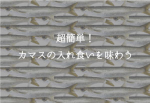 カマス釣りは超簡単!ルアーやサビキで初心者でも入れ食い