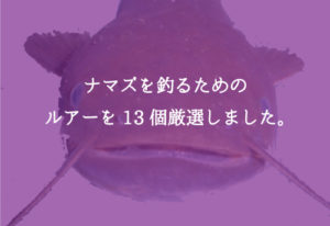 ããã¹ãé£ãã®ããããã«ã¢ãŒ13éžïŒã³ããæ»ç¥æ³ãäžæå
¬éïŒ