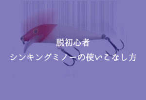 ã·ã³ãã³ã¯ããããŒãåå¿è
ãã䜿ãããªãæ¹æ³