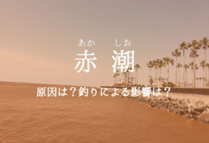 赤潮と釣りの影響|赤潮は釣れないのか?赤潮でも爆釣させる方法とは?