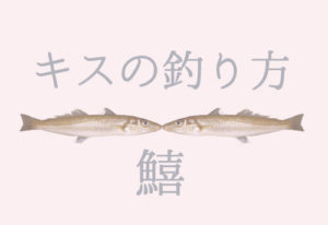 キスの釣り方｜仕掛けや時期、餌、場所などを詳しく解説