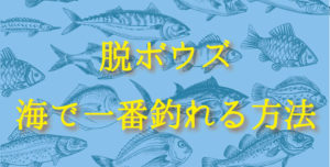 海釣りで釣れない人必見!改善策と一番釣れる釣り方は?