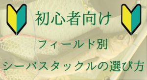 シーバスタックルの選び方【初心者編】おすすめロッド＆リール紹介