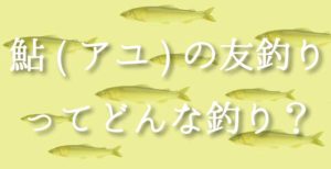 アユの友釣り入門｜仕組みから必要な道具、釣り方を公開
