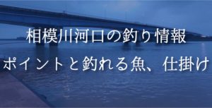 相模川河口の釣り情報｜ポイントと釣れる魚、仕掛けを紹介