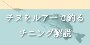 チヌ(クロダイ)をルアーで釣る！チニングの釣り方講座