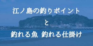 江ノ島の釣りポイントと釣れる魚、釣れる仕掛けを公開