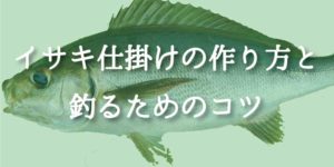ã€ãµã仿ãã®äœãæ¹ïŒè¹ã磯ãŠãé£ãããã®ã³ãã¯ïŒïŒ