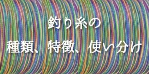 é£ã糞ã®çš®é¡ãç¹åŸŽã䜿ãåãæ¹ã解説