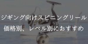 ジギング向けスピニングリールのおすすめを価格別、レベル別に分けてみた