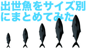 出世魚の一覧|カンパチ、ハマチなどサイズ別まとめ