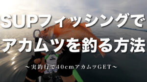 SUPフィッシングでアカムツを釣る方法を考えていたら記録級の特大アカムツGET！