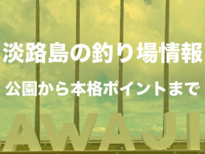 淡路島の釣り場情報|公園でのアジ狙いから本格タチウオ狙いまで!