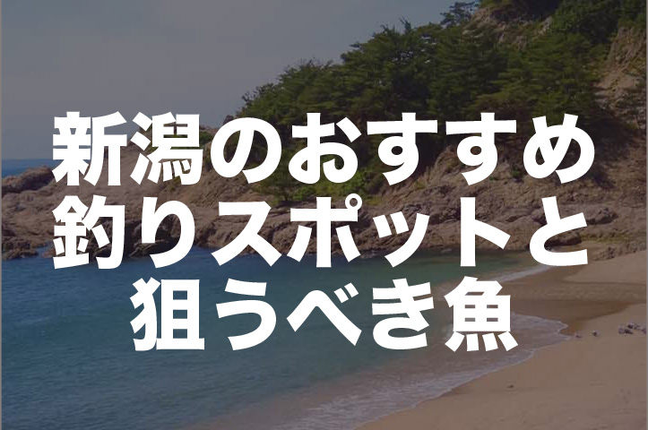 新潟県の釣り場情報｜アジ、キス、シーバス、イナダなど狙う魚別に解説！