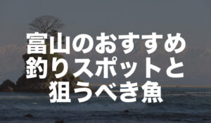 富山県の釣り場情報|アジ、アオリイカ、キジハタなど狙う魚別に解説!