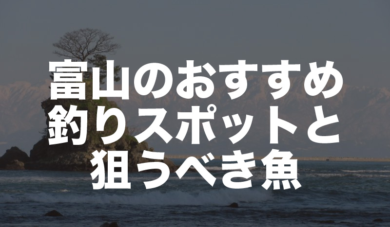 富山県の釣り場情報｜アジ、アオリイカ、キジハタなど狙う魚別に解説！