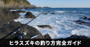 ヒラスズキの釣り方と仕掛け｜荒磯のフラットフィッシュを狙うタックルとルアー選び
