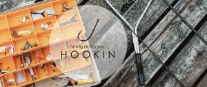 【DICTIONARY】釣り辞典「HOOKIN」とは