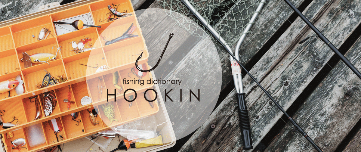 【DICTIONARY】釣り辞典「HOOKIN」とは