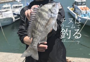 チニングはワームで釣る!おすすめの付け方、アクションを解説!