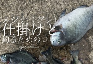 メジナの仕掛けは?メジナの習性を活かした初心者におすすめな仕掛け