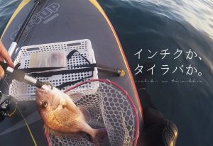 インチクVSタイラバ|仕掛けの選び方と釣り方を徹底解説