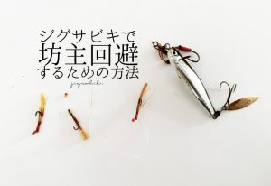 ジグサビキこそ最強仕掛け!初心者でも坊主を逃れるための釣り方公開