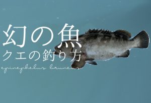 クエはこの仕掛けで狙え！堤防、磯、船などあらゆるフィールドを解説