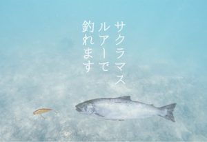 サクラマスをルアーで釣るためのアクション方法とおすすめルアー公開