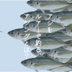 アジをルアーで釣るアジングとは?おすすめの時期は?重さは?