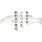 シーバスが釣れない人必見!釣れない理由7選と釣るためのポイント