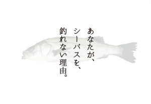 シーバスが釣れない人必見!釣れない理由7選と釣るためのポイント