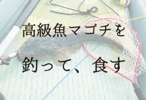 マゴチの釣り方と仕掛けを一番わかりやすく公開!