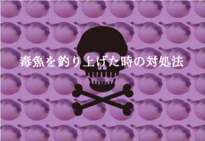【危険】毒魚を釣りあげた時の対処法!代表的な毒魚を紹介