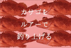 カサゴのルアーでの釣り方解説とおすすめルアー
