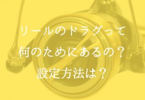 リールドラグの調整方法と役割解説!狙う魚別の設定方法を公開