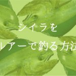 シイラをルアーで釣る!入門編として仕掛けから釣り方を公開