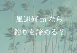風が強いと釣れない？風速何mまでならOK？【釣りと風の関係】