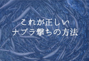 ナブラ撃ちとは？ナブラを確実に釣果に繋げるコツ公開