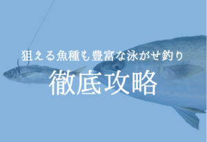 泳がせ釣りの仕掛けとやり方解説！自作で簡単にできる！