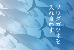 ソウダガツオの釣り方から食べ方まで 強烈な引き味を楽しむ