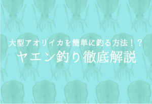 ヤエン釣りでアオリイカが爆釣 コツは 道具は 合わせ方は