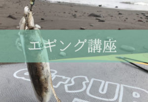 イカ釣りに適した時間や時期は?【エギング講座】