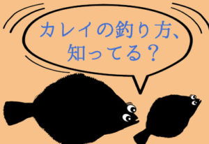 【カレイ釣り】堤防の投げ釣りから船まで!釣り方講座