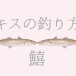 キスの釣り方|仕掛けや時期、餌、場所などを詳しく解説